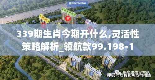 339期生肖今期开什么,灵活性策略解析_领航款99.198-1