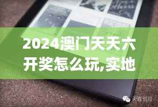 2024澳门天天六开奖怎么玩,实地执行考察方案_Kindle14.225-7