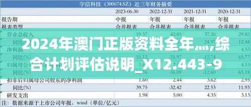 2024年澳门正版资料全年灬,综合计划评估说明_X12.443-9