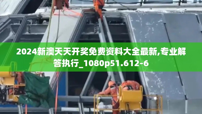 2024新澳天天开奖免费资料大全最新,专业解答执行_1080p51.612-6