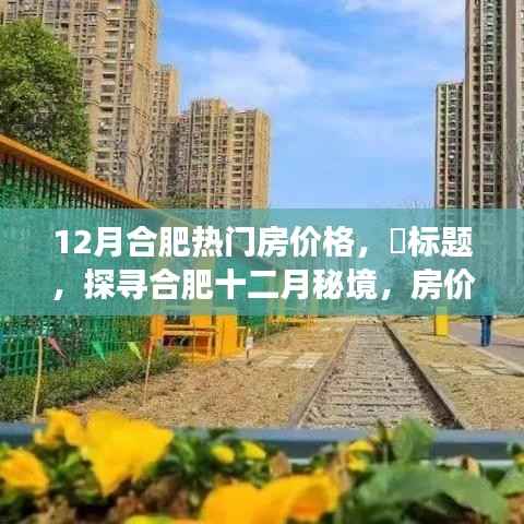 探寻合肥十二月热门房价,秘境之旅与心灵旅行的双重乐章