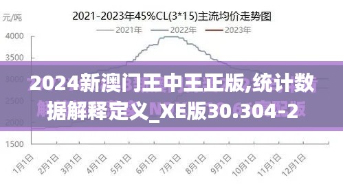 2024新澳门王中王正版,统计数据解释定义_XE版30.304-2