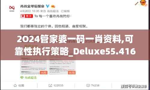 2O24管家婆一码一肖资料,可靠性执行策略_Deluxe55.416