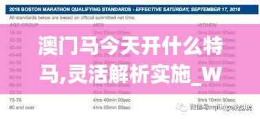 澳门马今天开什么特马,灵活解析实施_Windows10.566