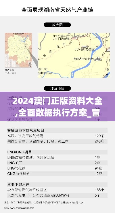 2024澳门正版资料大全,全面数据执行方案_冒险版10.687