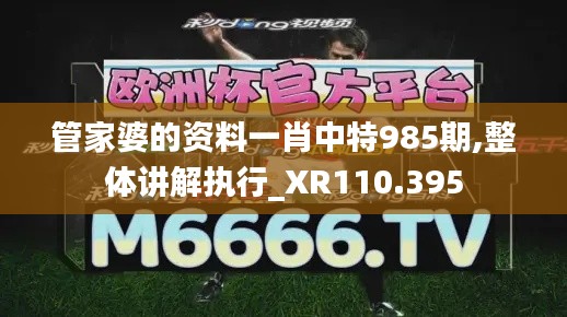 管家婆的资料一肖中特985期,整体讲解执行_XR110.395