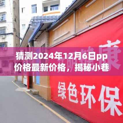 揭秘小巷深处独特风味,预测未来PP价格走势与美食宝藏探寻(2024年最新预测)