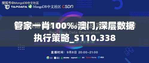 管家一肖100‰澳门,深层数据执行策略_S110.338