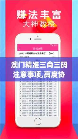 澳门精准三肖三码注意事项,高度协调策略执行_8DM6.757