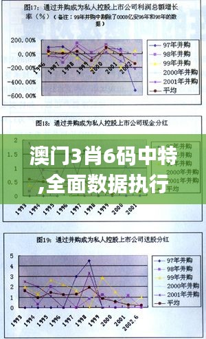 澳门3肖6码中特,全面数据执行方案_黄金版2.239