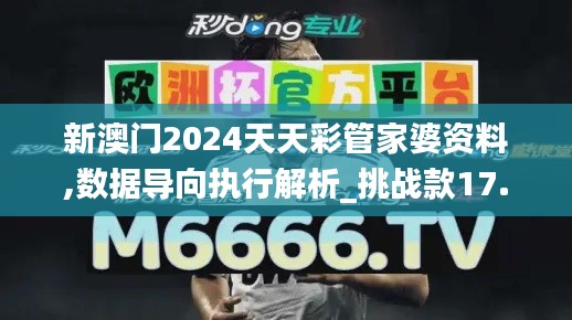 新澳门2024天天彩管家婆资料,数据导向执行解析_挑战款17.762