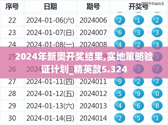 2024年新奥开奖结果,实地策略验证计划_精英款5.324