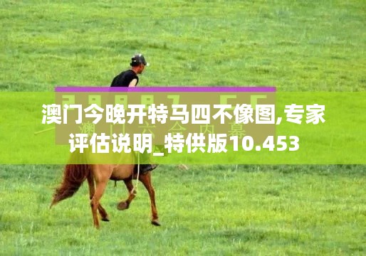 澳门今晚开特马四不像图,专家评估说明_特供版10.453