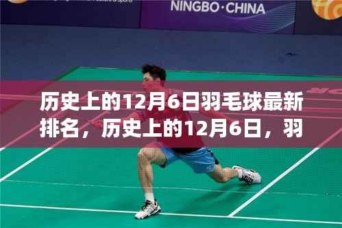 历史上的羽毛球运动变迁,揭秘12月6日的排名轨迹与影响