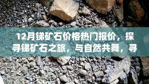 探寻锑矿石之旅,热门报价与心灵的宁静之地,与自然共舞的节奏