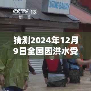 2024年洪水来袭，全国如何应对灾难的挑战
