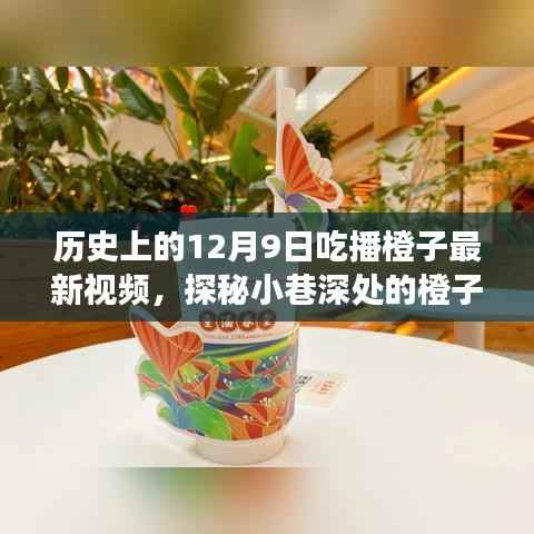 探秘橙子秘境,味蕾盛宴,橙子最新吃播视频上线!