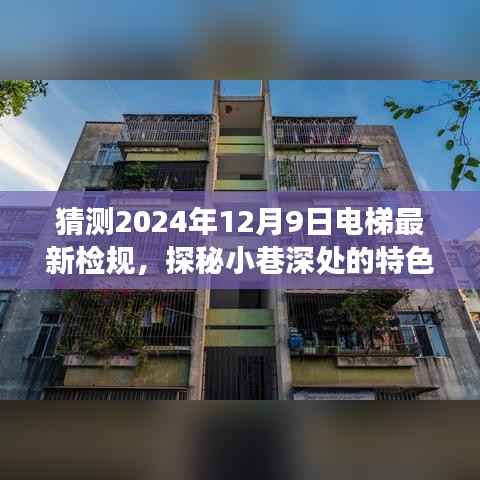 探秘小巷深处的特色小店与独家解读电梯最新检规,预测未来趋势揭秘电梯安全新标准(独家标题)