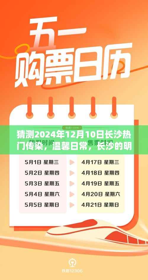 长沙热门传染病预测与友情传递,温馨日常到明日预言,长沙的抗疫与情感连结(2024年12月10日)