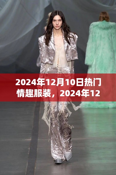 2024年12月10日时尚情趣服装盛宴,引领潮流的性感魅力之选