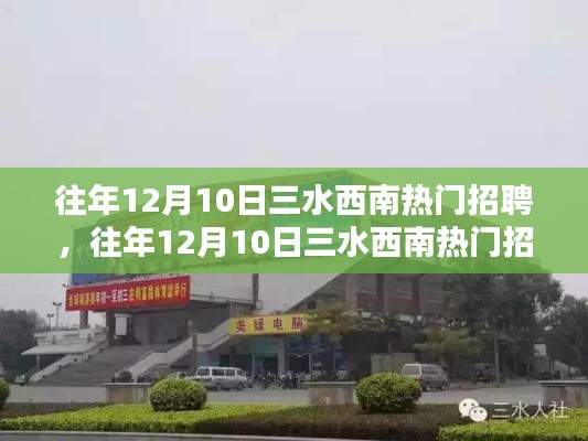 往年12月10日三水西南热门招聘详解与评测