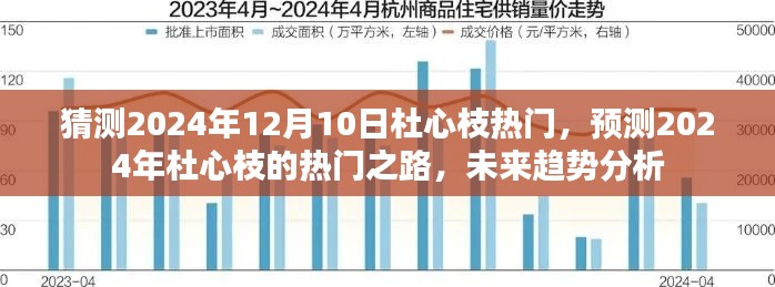杜心枝的热门之路,预测未来趋势与2024年杜心枝的崛起分析
