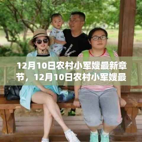 12月10日农村小军嫂最新章节,热血生活的乡村与军魂交融的动人篇章