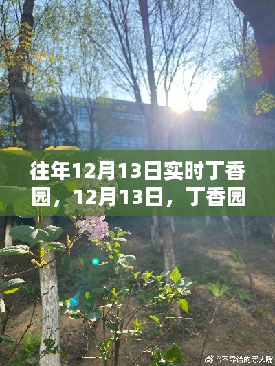 丁香园里寻找心灵的宁静时光,每年的十二月十三日