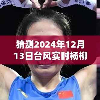 如何猜测并追踪即将到来的杨柳台风(2024年12月13日),台风实时预测与追踪步骤指南(适用于初学者与进阶用户)