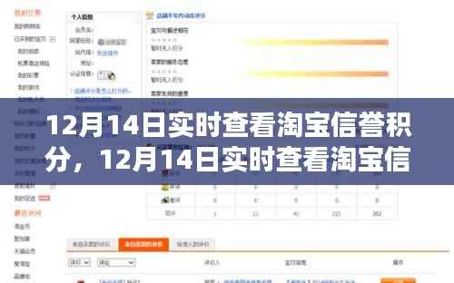 淘宝信誉积分实时查看解析与案例分享,全面洞悉信誉积分背后的秘密!