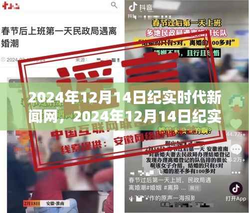 从新手到熟练用户,纪实时代新闻网使用指南(2024年12月14日版)
