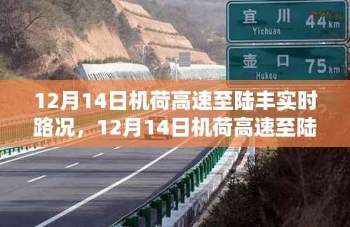12月14日机荷高速至陆丰实时路况详解,行车指南与路况解析