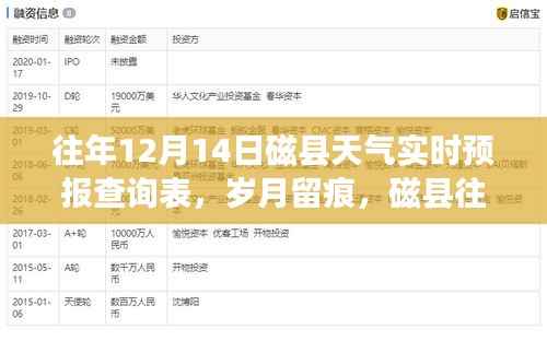 丰容盛鬋 第5页