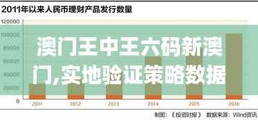 澳门王中王六码新澳门,实地验证策略数据_模拟版12.732