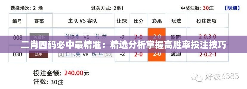 二肖四码必中最精准:精选分析掌握高胜率投注技巧