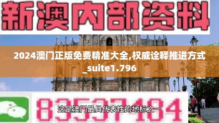 2024澳门正版免费精准大全,权威诠释推进方式_suite1.796