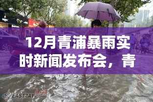 青浦暴雨背后的秘密与小巷美食奇遇,12月实时新闻发布会揭秘