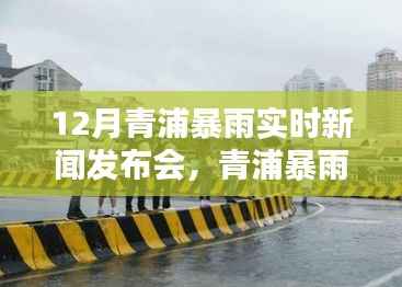 青浦暴雨背后的秘密与小巷美食奇遇,12月实时新闻发布会揭秘