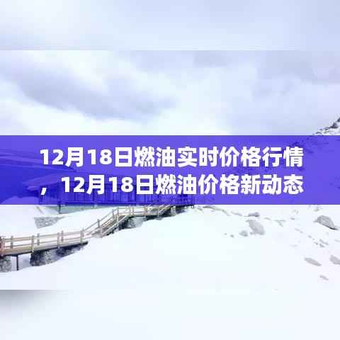 12月18日燃油价格行情及新动态，驶向自然美景的心灵之旅