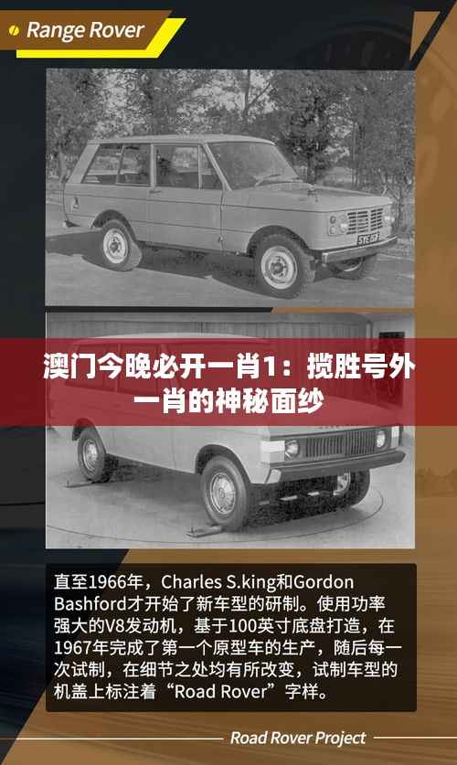 澳门今晚必开一肖1：揽胜号外一肖的神秘面纱