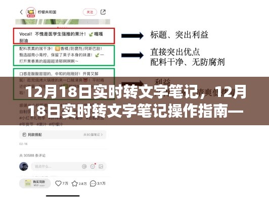 12月18日实时转文字笔记操作指南,初学者与进阶用户的必备教程