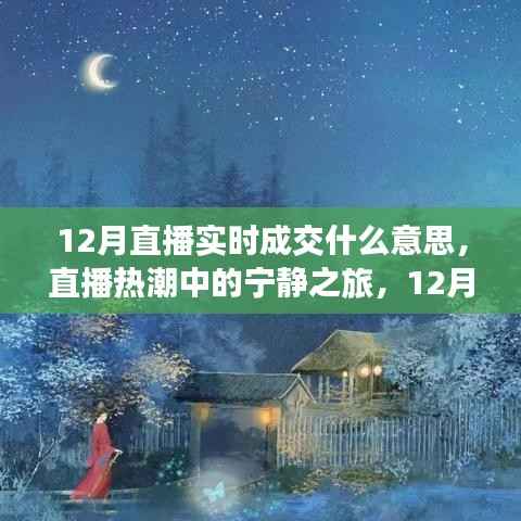 直播热潮揭秘,12月实时成交背后的故事与宁静之旅