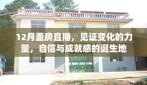 见证变化的力量,12月盖房直播,自信与成就感的诞生之旅