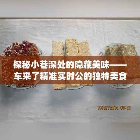 车来了实时导航,探秘小巷深处的独特美食之旅
