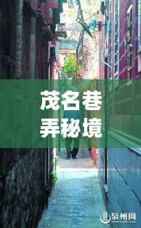 茂名巷弄秘境的特色小吃直播之旅