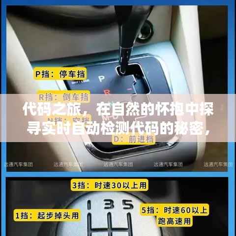 自然中的代码之旅,揭秘实时自动检测代码的秘密,探险奇妙日——2024年12月22日