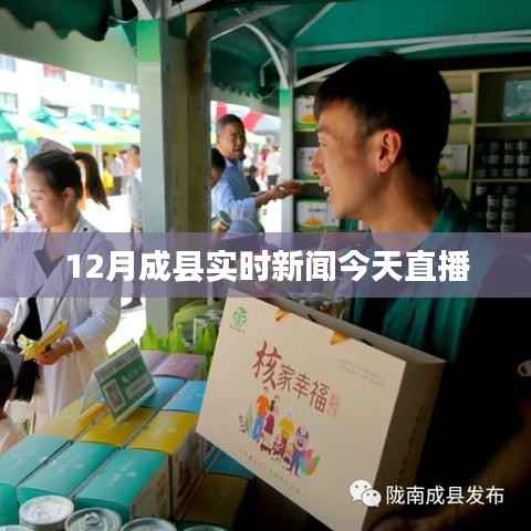成县今日最新新闻直播动态