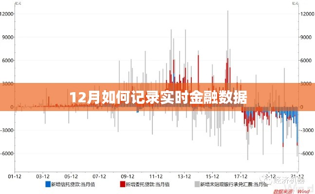 实时金融数据记录指南,12月操作详解