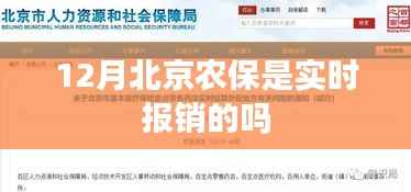 北京农保12月报销实时性解析