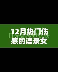 伤感女生网名语录,十二月的心灵触动